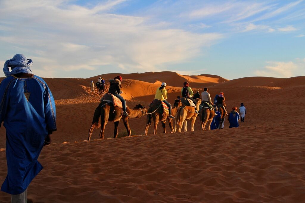 trip, adventure, camel caravan-1422608.jpg